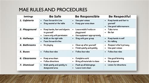 MAE Rules and Procedures 