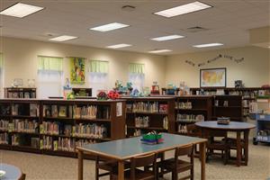 Picture of the library and bookshelves